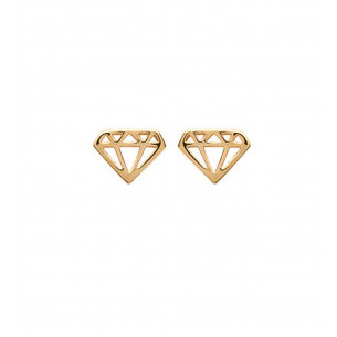 Earrings "Diamond" - Lorenzo R