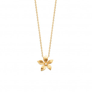 Yellow gold plated leaf necklace "Garance" - Bijoux Privés Discovery