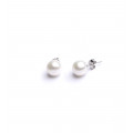 Earrings pearl 8 mm in silver - Tikopia